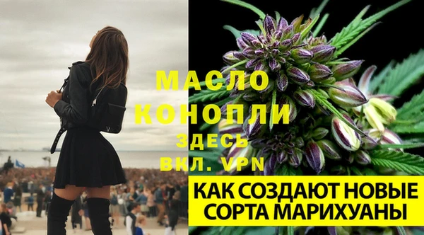 молекула духа Балабаново